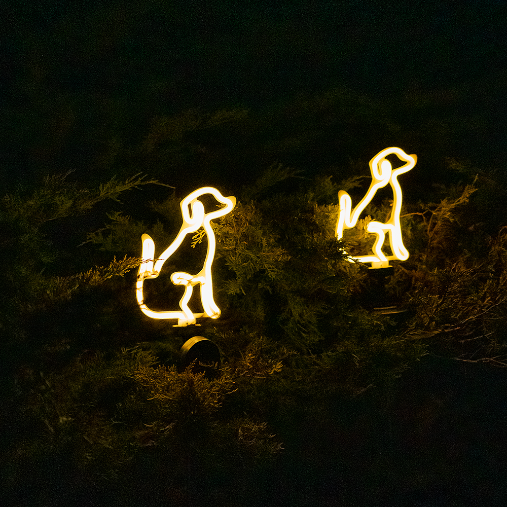 Solar LED Neon Dog Outdoor Garden Décor Stake Light - (1Pack or 2 Pack)