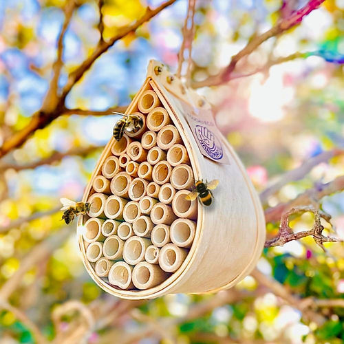 Pollinating Palace - Bee House
