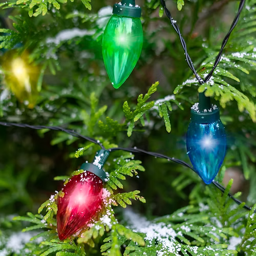 HOLIDAY BIG LITE